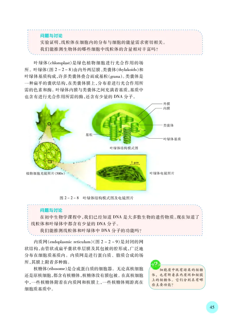 苏教版生物必修1高清教材_4-教培资料-26年最新资料-同步更新_初中高中教资_03科三专项（进去保存报考的学科即可）_02科三专项（笔记真题思维导图教学设计版本二）