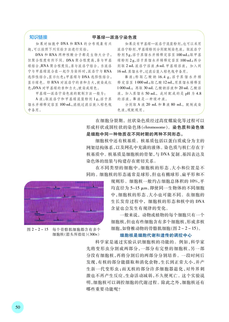 苏教版生物必修1高清教材_4-教培资料-26年最新资料-同步更新_初中高中教资_03科三专项（进去保存报考的学科即可）_02科三专项（笔记真题思维导图教学设计版本二）