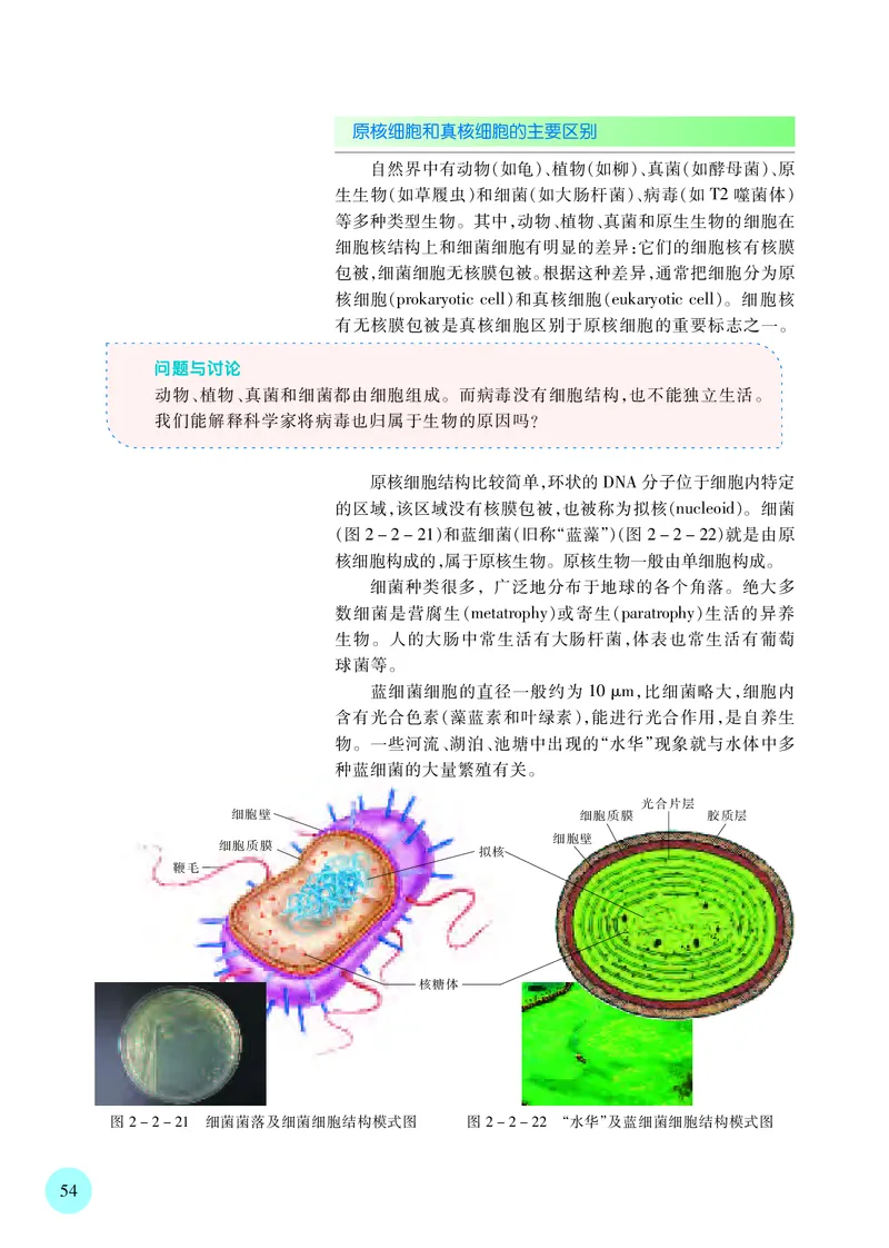苏教版生物必修1高清教材_4-教培资料-26年最新资料-同步更新_初中高中教资_03科三专项（进去保存报考的学科即可）_02科三专项（笔记真题思维导图教学设计版本二）