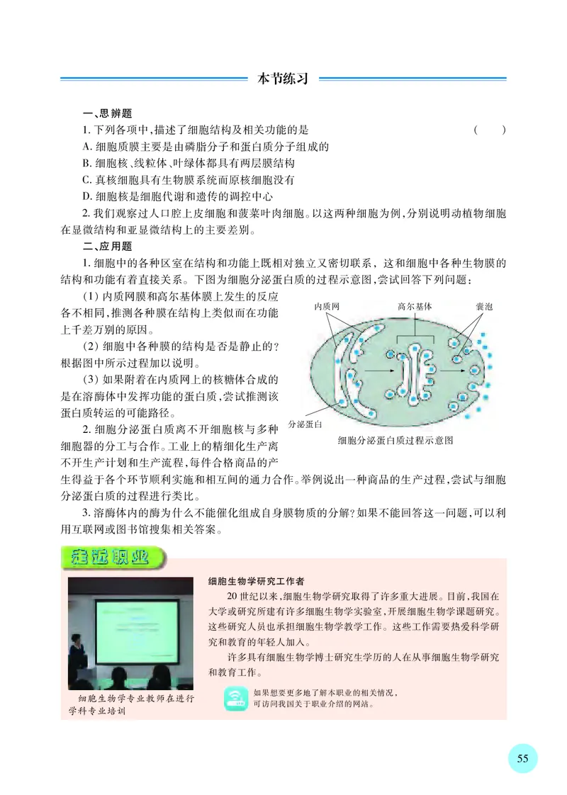 苏教版生物必修1高清教材_4-教培资料-26年最新资料-同步更新_初中高中教资_03科三专项（进去保存报考的学科即可）_02科三专项（笔记真题思维导图教学设计版本二）