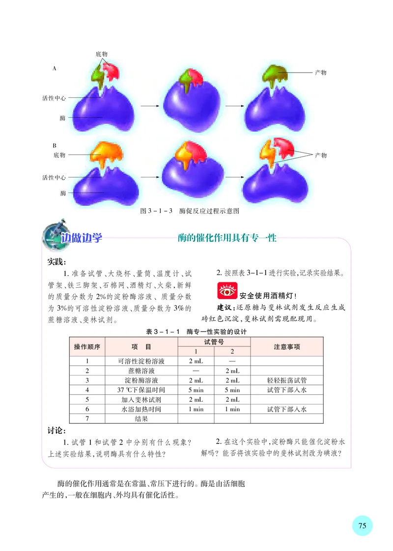 苏教版生物必修1高清教材_4-教培资料-26年最新资料-同步更新_初中高中教资_03科三专项（进去保存报考的学科即可）_02科三专项（笔记真题思维导图教学设计版本二）