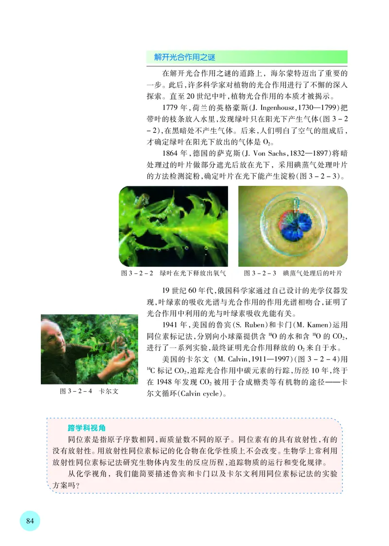 苏教版生物必修1高清教材_4-教培资料-26年最新资料-同步更新_初中高中教资_03科三专项（进去保存报考的学科即可）_02科三专项（笔记真题思维导图教学设计版本二）