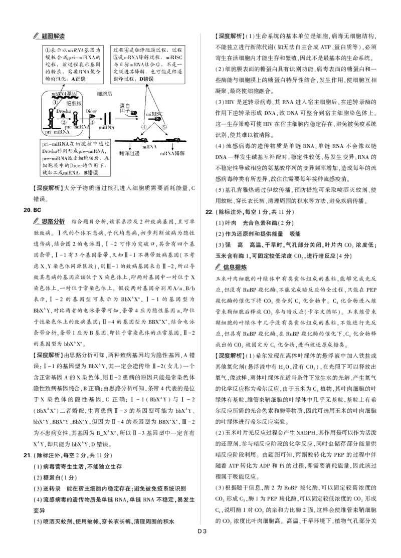 生物答案_2025年12月_251219东北精准教学联盟2025年12学高三联考考后强化卷（全科）