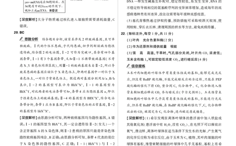 生物答案_2025年12月_251219东北精准教学联盟2025年12学高三联考考后强化卷（全科）