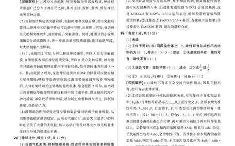 生物答案_2025年12月_251219东北精准教学联盟2025年12学高三联考考后强化卷（全科）