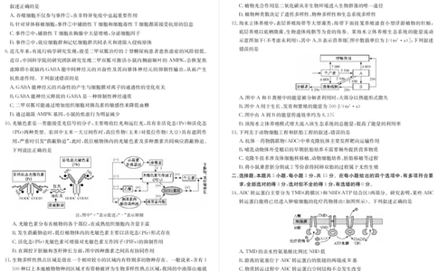 河北省邯郸市磁县第一中学2023-2024学年高三上学期八调考试生物_2024届河北省邯郸市磁县第一中学高三上学期八调考试_河北省邯郸市磁县第一中学2024届高三上学期八调考试生物