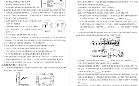 河北省邯郸市磁县第一中学2023-2024学年高三上学期八调考试生物_2024届河北省邯郸市磁县第一中学高三上学期八调考试_河北省邯郸市磁县第一中学2024届高三上学期八调考试生物