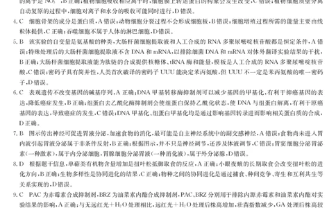 生物答案-7月质量检测（N）_2025年7月_250728江西省九师联盟2024-2025学年高二下学期7月质量检测（摸底考试）（7.24）（全科）_0823204624
