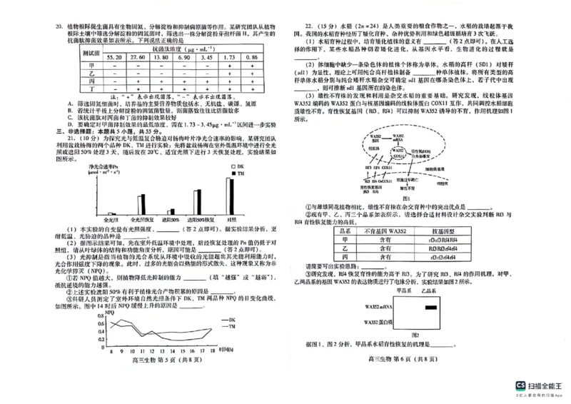 山东省潍坊市2023-2024学年高三上学期1月期末生物试题_2024届山东省潍坊市高三上学期期末考试_山东省潍坊市2024届高三上学期期末考试生物