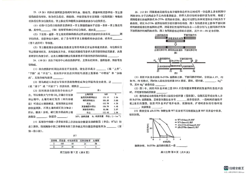 山东省潍坊市2023-2024学年高三上学期1月期末生物试题_2024届山东省潍坊市高三上学期期末考试_山东省潍坊市2024届高三上学期期末考试生物