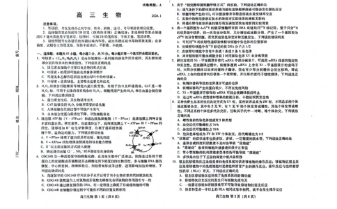 山东省潍坊市2023-2024学年高三上学期1月期末生物试题_2024届山东省潍坊市高三上学期期末考试_山东省潍坊市2024届高三上学期期末考试生物