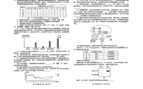 山东省潍坊市2023-2024学年高三上学期1月期末生物试题_2024届山东省潍坊市高三上学期期末考试_山东省潍坊市2024届高三上学期期末考试生物