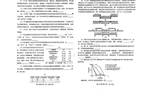 山东省潍坊市2023-2024学年高三上学期1月期末生物试题_2024届山东省潍坊市高三上学期期末考试_山东省潍坊市2024届高三上学期期末考试生物