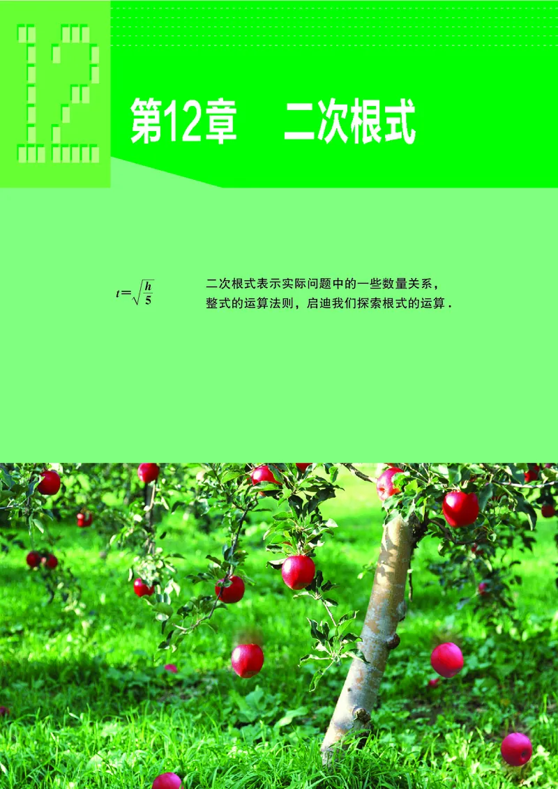 苏教版8年级数学下册高清教材_4-教培资料-26年最新资料-同步更新_初中高中教资_03科三专项（进去保存报考的学科即可）_02科三专项（笔记真题思维导图教学设计版本二）