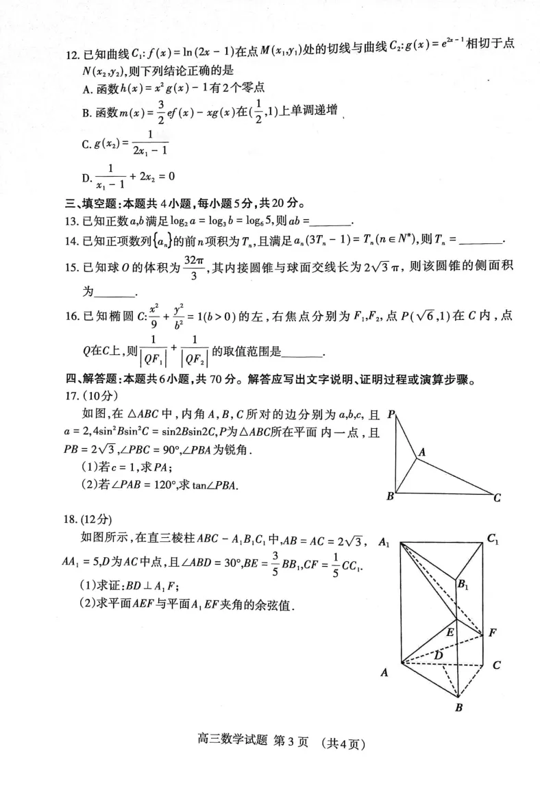山东省泰安市2023&mdash;2024学年高三上学期期末考试数学试题_2024届山东省泰安市高三上学期期末考试_山东省泰安市2024届高三上学期期末考试数学