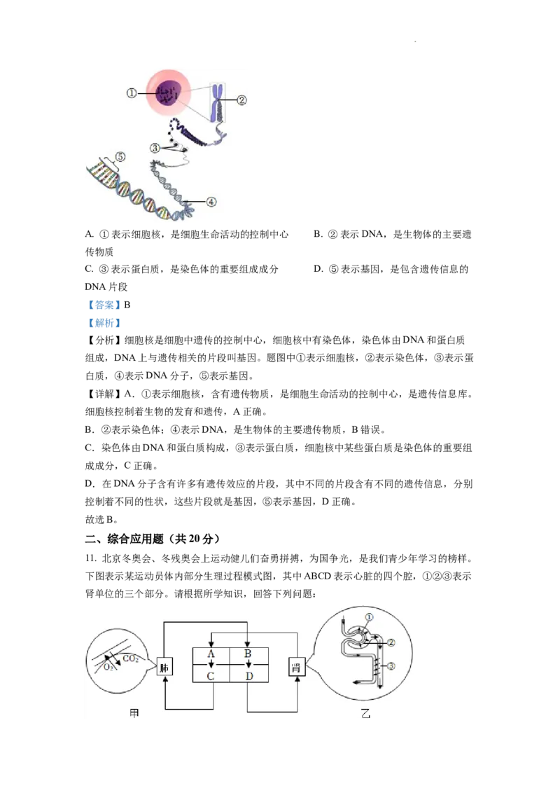精品解析：2022年四川省遂宁市中考生物真题（解析版）_中考真题_8.生物中考真题2015-2024年_2022年全国中考生物114份14
