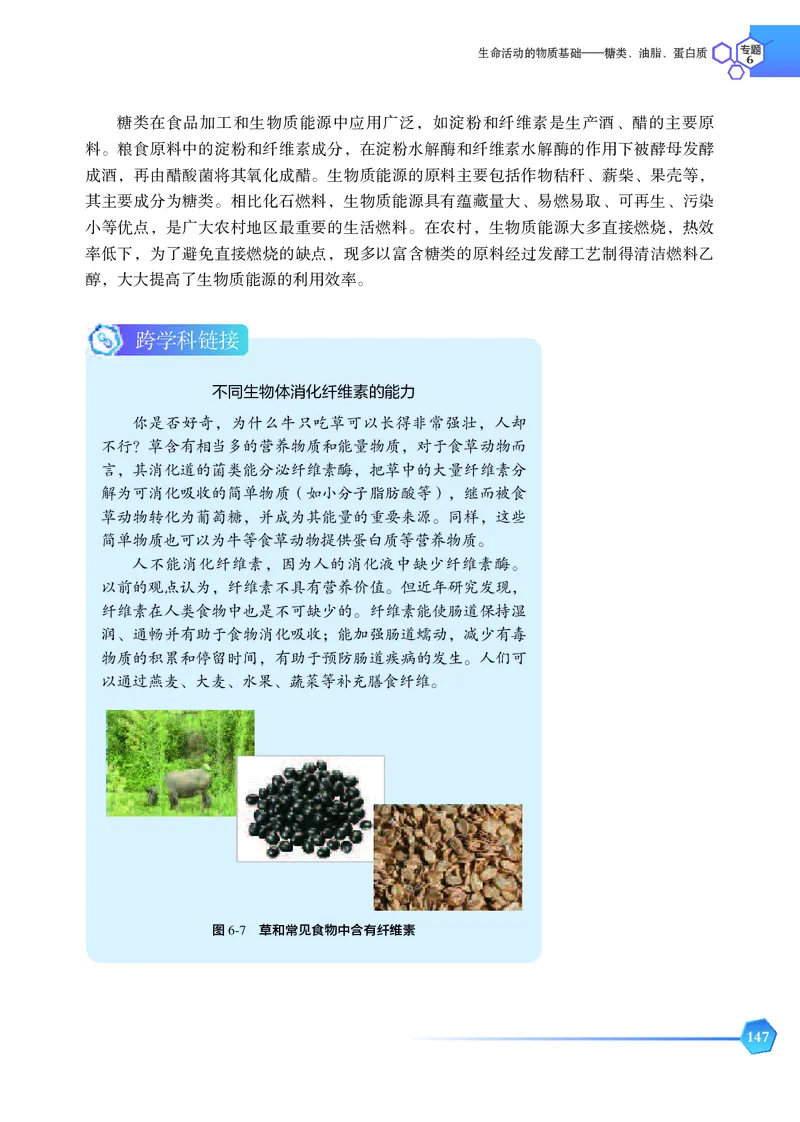 苏教版化学选修第三册高清教材_4-教培资料-26年最新资料-同步更新_初中高中教资_03科三专项（进去保存报考的学科即可）_02科三专项（笔记真题思维导图教学设计版本二）