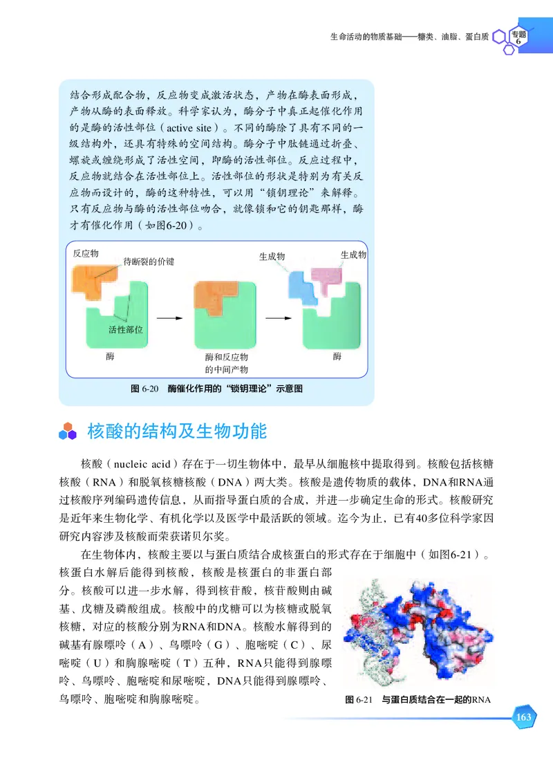 苏教版化学选修第三册高清教材_4-教培资料-26年最新资料-同步更新_初中高中教资_03科三专项（进去保存报考的学科即可）_02科三专项（笔记真题思维导图教学设计版本二）