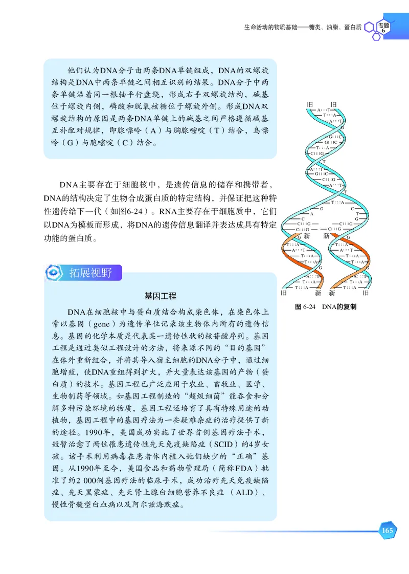 苏教版化学选修第三册高清教材_4-教培资料-26年最新资料-同步更新_初中高中教资_03科三专项（进去保存报考的学科即可）_02科三专项（笔记真题思维导图教学设计版本二）