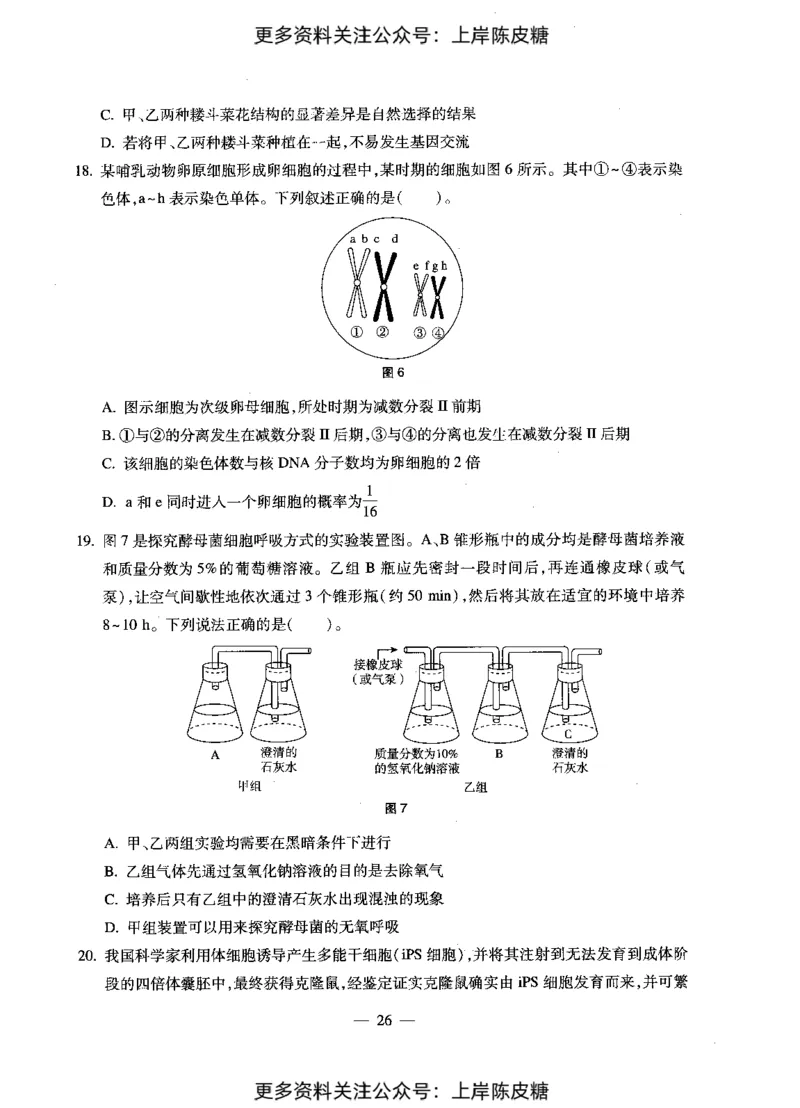生物学科知识与教学能力（初级中学）标准预测试卷_4-教培资料-26年最新资料-同步更新_初中高中教资_03科三专项（进去保存报考的学科即可）_08初高中科三标准模拟卷_初中