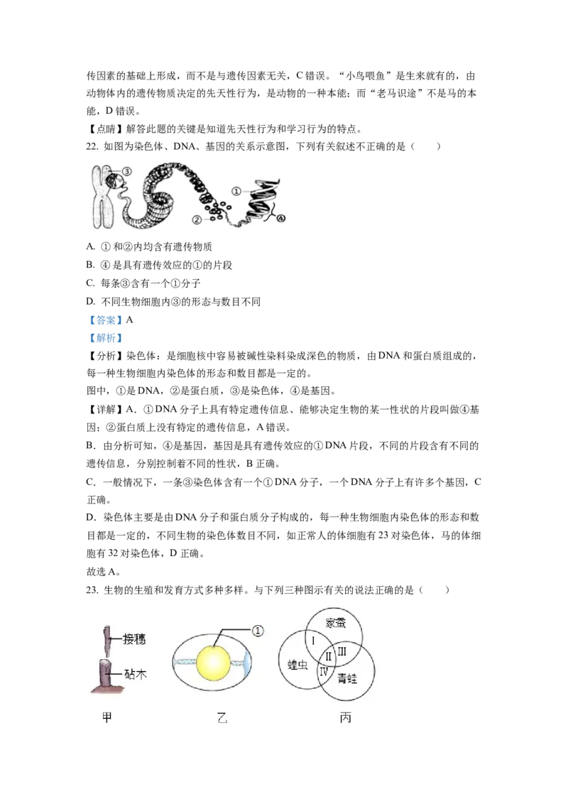 精品解析：2022年山东省临沂市中考生物真题（解析版）_中考真题_8.生物中考真题2015-2024年_地区卷_山东省_临沂生物08-22