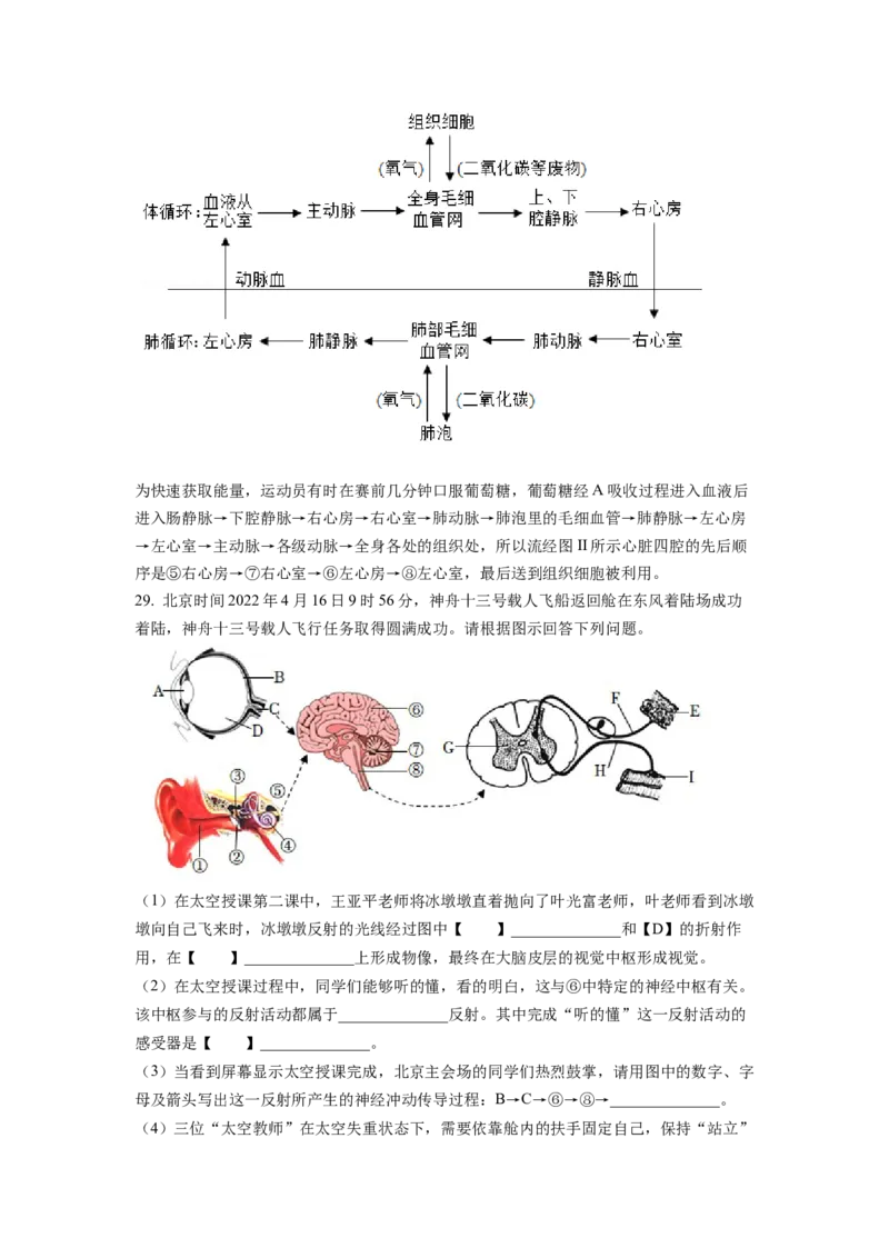 精品解析：2022年山东省临沂市中考生物真题（解析版）_中考真题_8.生物中考真题2015-2024年_地区卷_山东省_临沂生物08-22