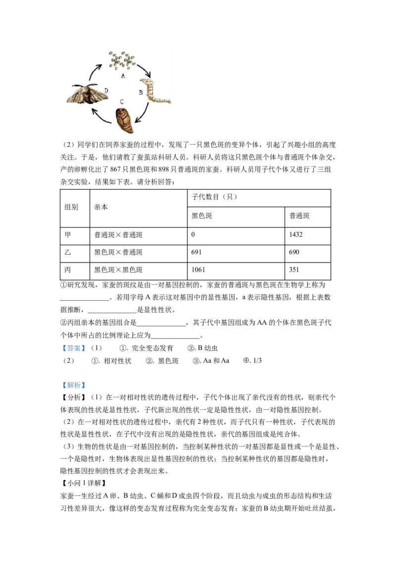 精品解析：2022年山东省临沂市中考生物真题（解析版）_中考真题_8.生物中考真题2015-2024年_地区卷_山东省_临沂生物08-22