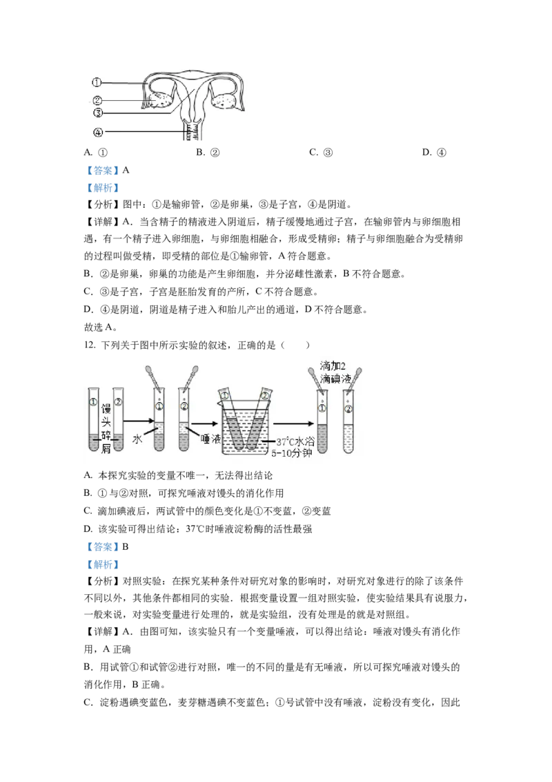 精品解析：2022年山东省临沂市中考生物真题（解析版）_中考真题_8.生物中考真题2015-2024年_地区卷_山东省_临沂生物08-22