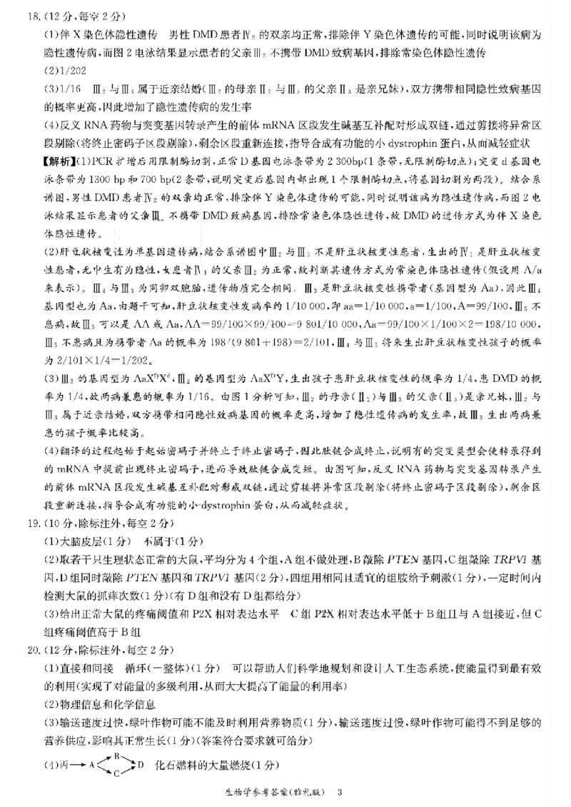 雅礼中学2026届高三月考生物试卷答案_251107湖南省长沙市雅礼中学2026届高三上学期月考（三）（全科）_湖南省长沙市雅礼中学2026届高三上学期月考（三）生物试题扫描版含解析