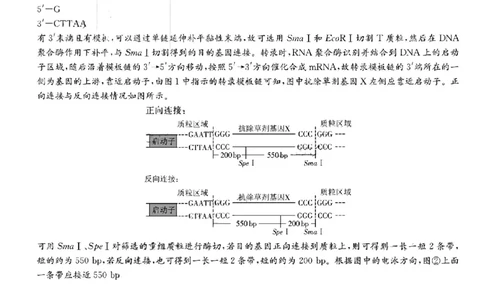 雅礼中学2026届高三月考生物试卷答案_251107湖南省长沙市雅礼中学2026届高三上学期月考（三）（全科）_湖南省长沙市雅礼中学2026届高三上学期月考（三）生物试题扫描版含解析