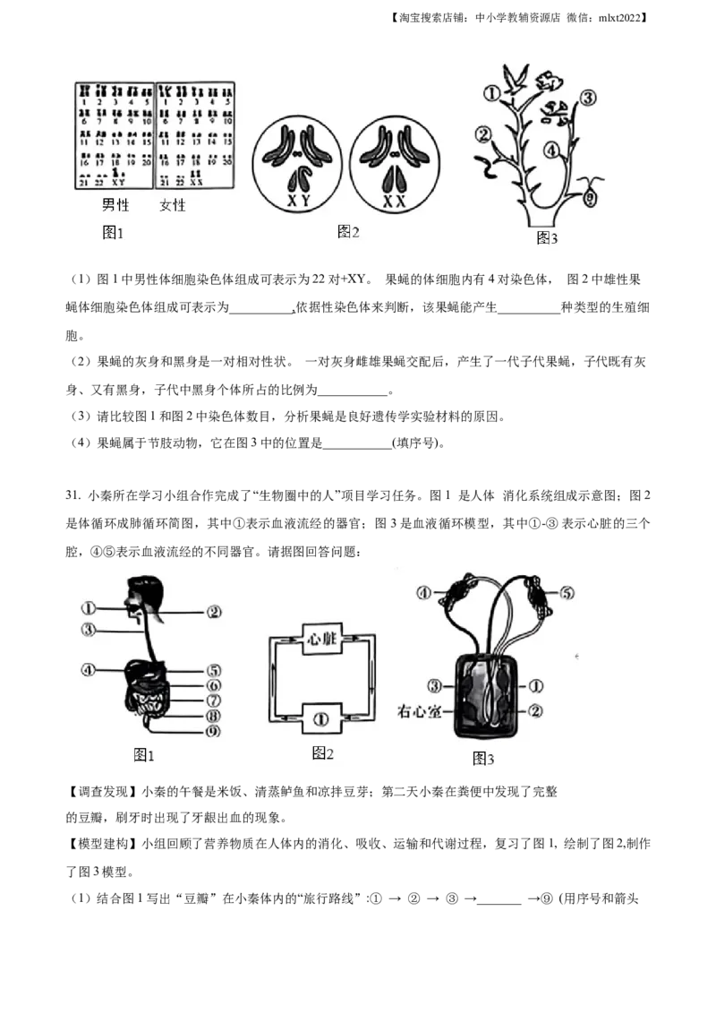 精品解析：2023年陕西省中考生物真题（原卷版）_中考真题_8.生物中考真题2015-2024年_2023年全国中考生物7.20_精品解析：2023年陕西省中考生物真题