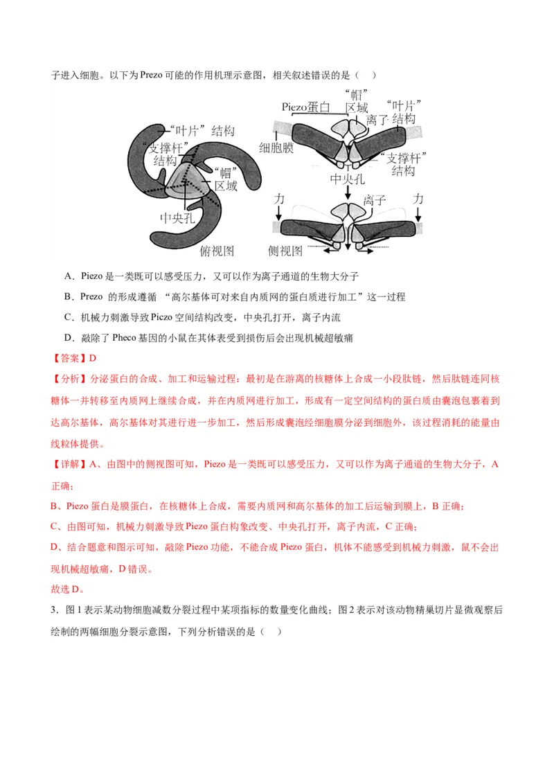 生物（广西卷）（全解全析）_学易金卷丨2024年1月&ldquo;七省联考&rdquo;考前猜想卷_生物（广西卷）