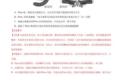 生物（广西卷）（全解全析）_学易金卷丨2024年1月&ldquo;七省联考&rdquo;考前猜想卷_生物（广西卷）