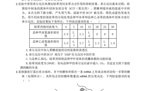 长沙市长郡中学2025届高三下学期保温卷（一）生物试卷（含解析）_2025年6月_250605湖南省长沙市长郡中学2025届高三下学期保温卷（一）（二）