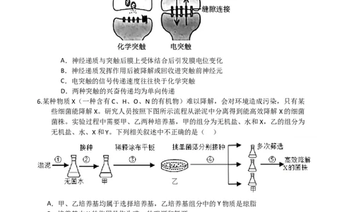 长沙市长郡中学2025届高三下学期保温卷（一）生物试卷（含解析）_2025年6月_250605湖南省长沙市长郡中学2025届高三下学期保温卷（一）（二）