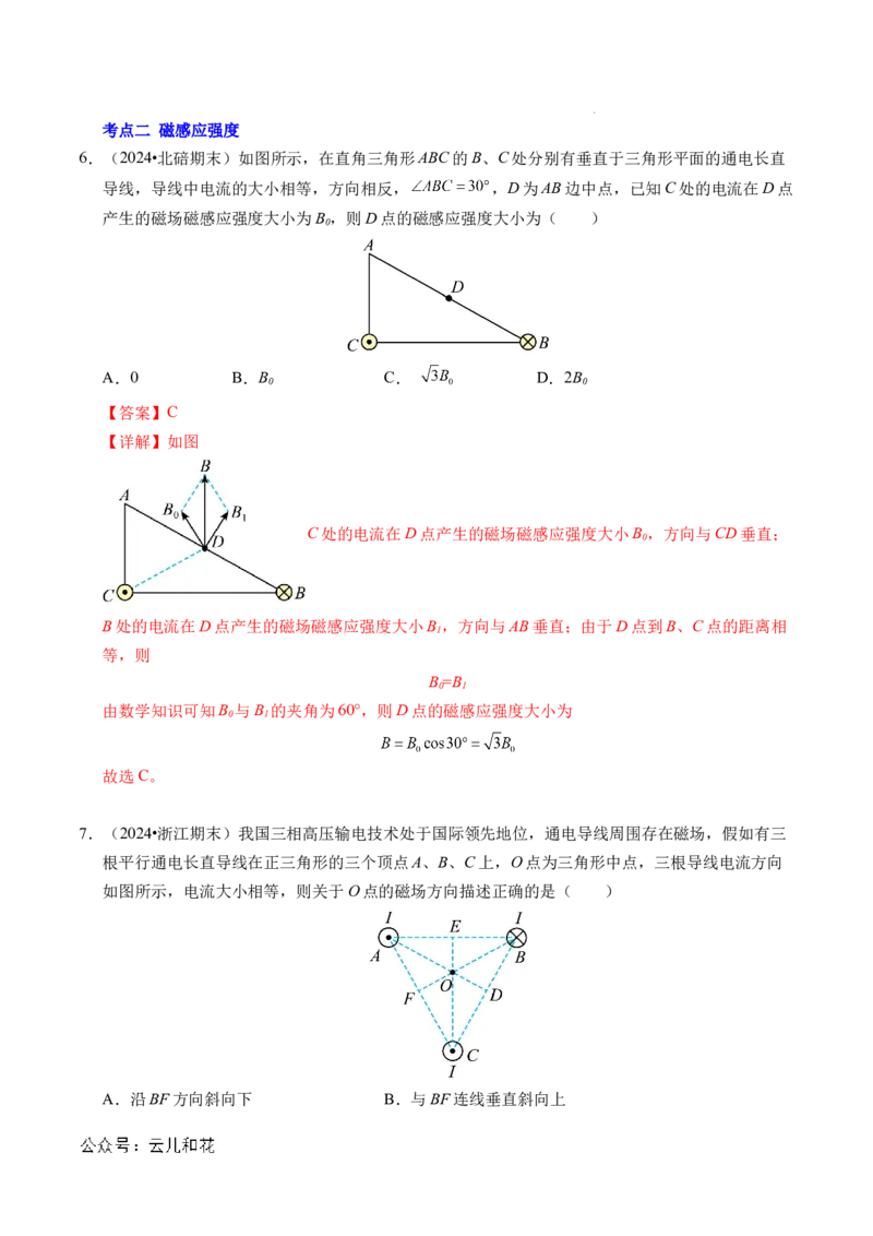 专题11磁场（新高考通用）（解析版）(1)_1多考区联考_0109好题汇编备战2024-2025学年高二物理上学期期末真题分类汇编（新高考通用）