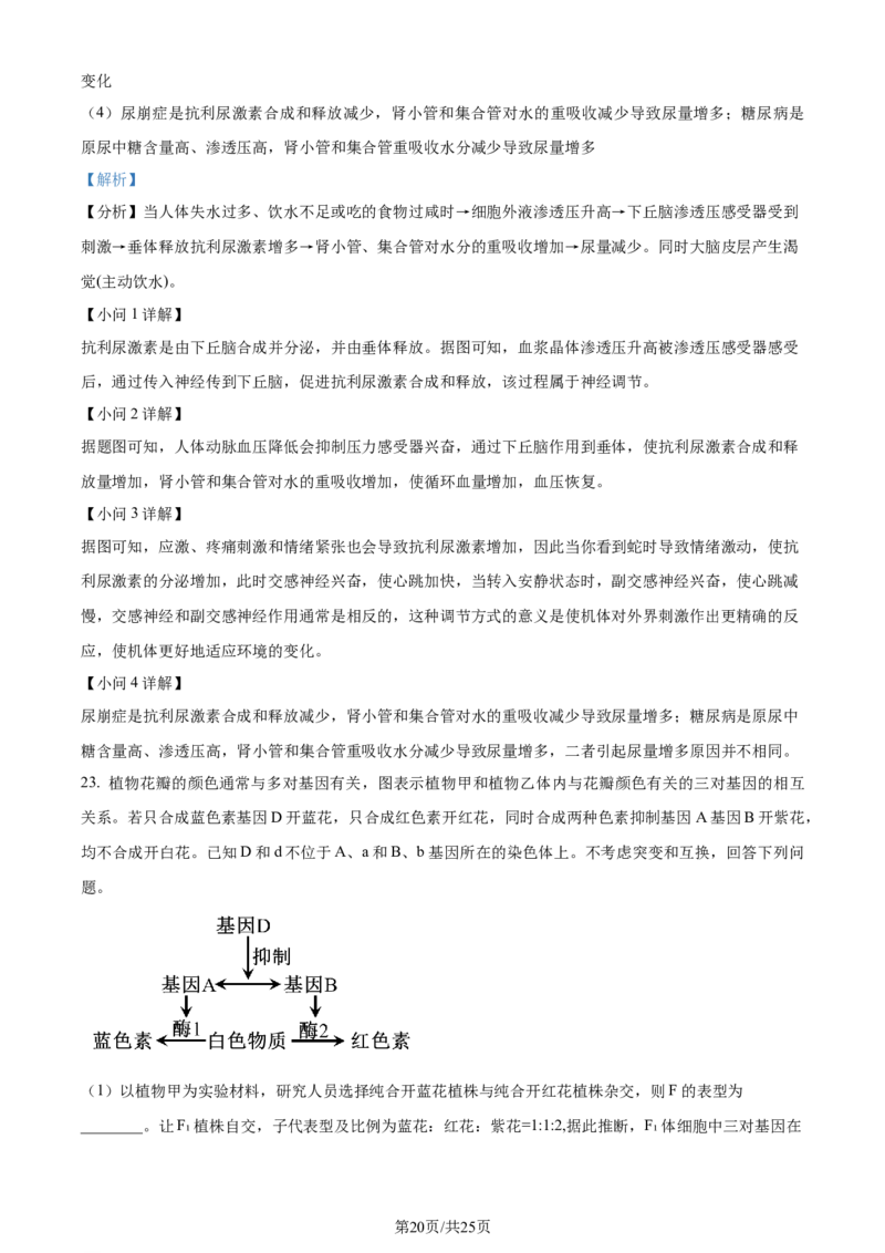 精品解析：山东省枣庄市2023-2024学年高三1月期末质量检测生物试题（解析版）_2024届山东省枣庄市高三上学期1月期末质量检测_山东省枣庄市2024届高三上学期1月期末质量检测生物