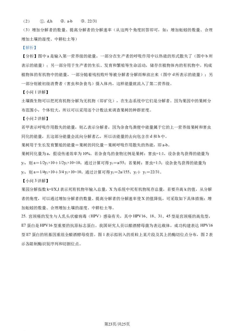 精品解析：山东省枣庄市2023-2024学年高三1月期末质量检测生物试题（解析版）_2024届山东省枣庄市高三上学期1月期末质量检测_山东省枣庄市2024届高三上学期1月期末质量检测生物