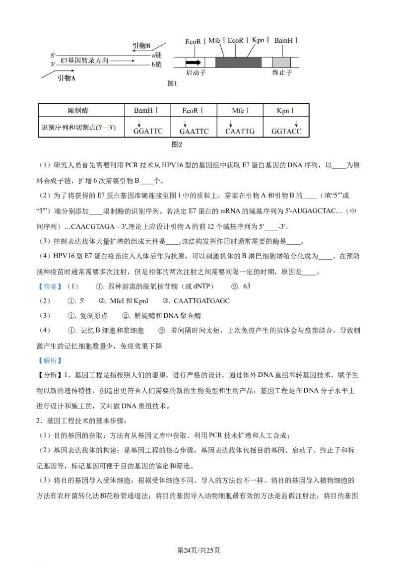 精品解析：山东省枣庄市2023-2024学年高三1月期末质量检测生物试题（解析版）_2024届山东省枣庄市高三上学期1月期末质量检测_山东省枣庄市2024届高三上学期1月期末质量检测生物