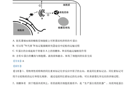 精品解析：山东省枣庄市2023-2024学年高三1月期末质量检测生物试题（解析版）_2024届山东省枣庄市高三上学期1月期末质量检测_山东省枣庄市2024届高三上学期1月期末质量检测生物