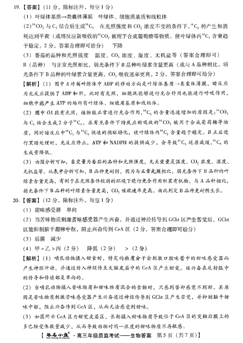 小渔生物答案_2024届琢名小渔河北省高三年级质量监测考试_琢名小渔河北省2024届高三年级质量监测考试生物