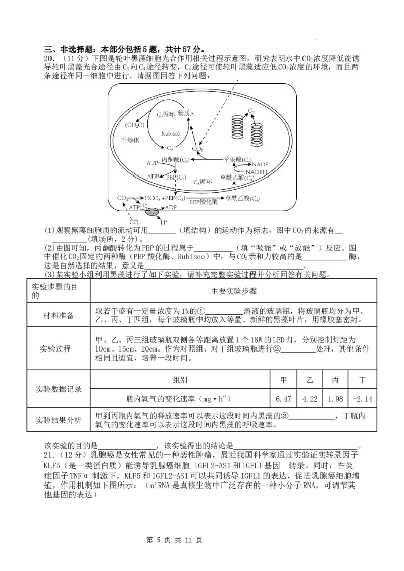 江苏省扬州中学2024届高三上学期1月月考生物_2024届江苏省扬州中学高三上学期1月月考