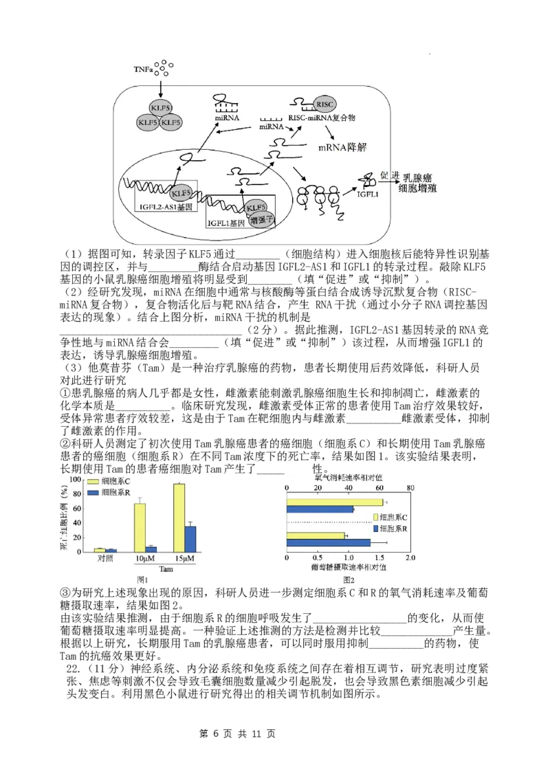 江苏省扬州中学2024届高三上学期1月月考生物_2024届江苏省扬州中学高三上学期1月月考