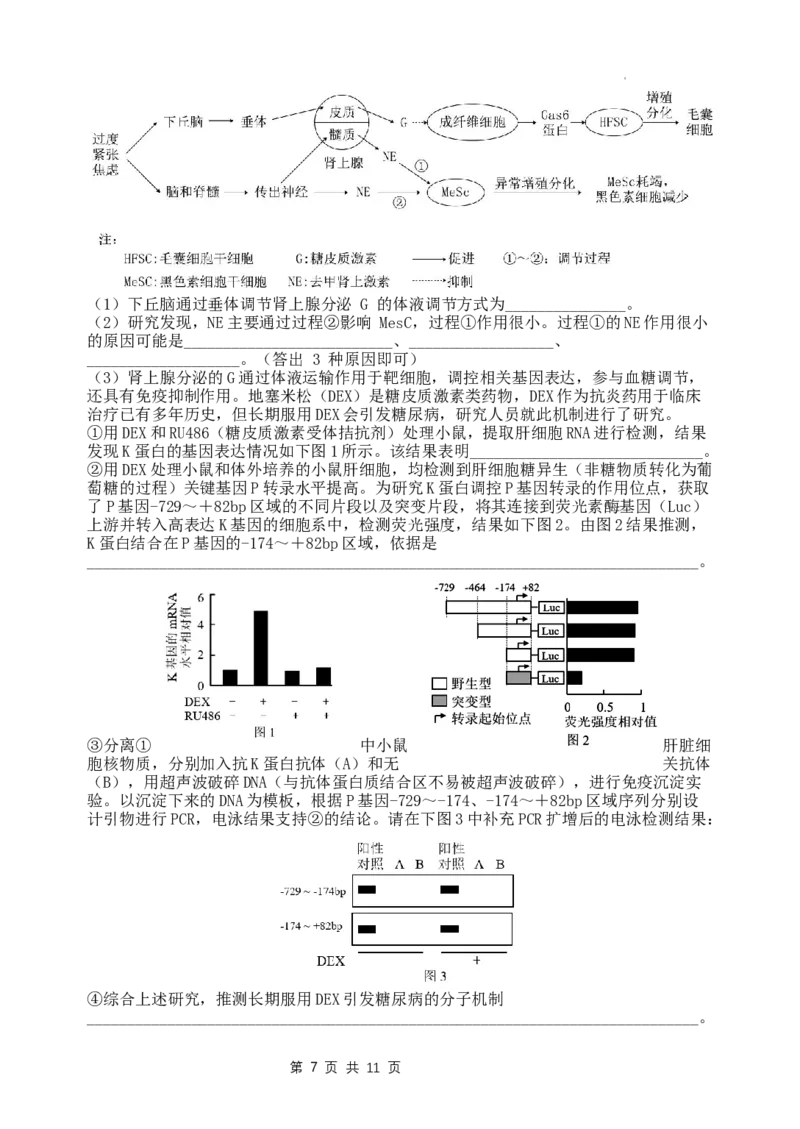 江苏省扬州中学2024届高三上学期1月月考生物_2024届江苏省扬州中学高三上学期1月月考
