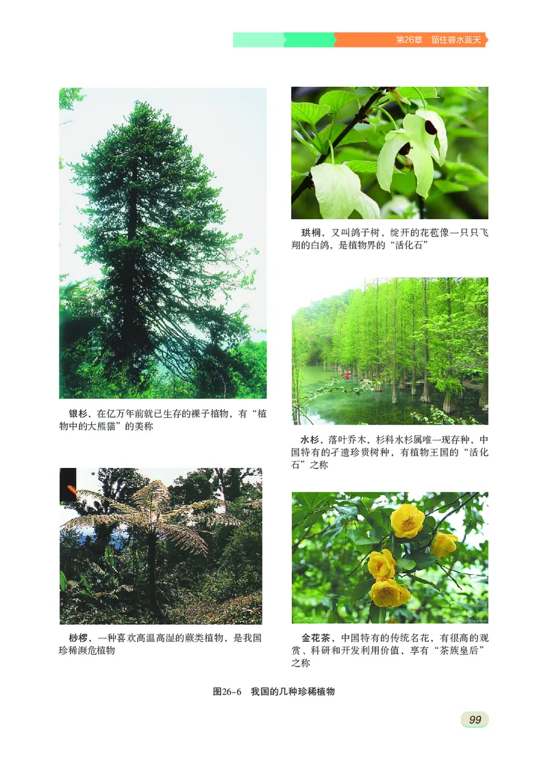 苏科版8年级生物下册高清教材_4-教培资料-26年最新资料-同步更新_初中高中教资_03科三专项（进去保存报考的学科即可）_02科三专项（笔记真题思维导图教学设计版本二）