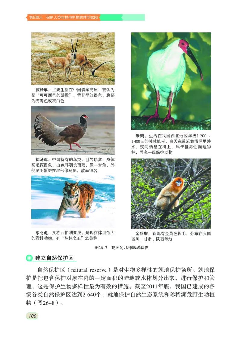 苏科版8年级生物下册高清教材_4-教培资料-26年最新资料-同步更新_初中高中教资_03科三专项（进去保存报考的学科即可）_02科三专项（笔记真题思维导图教学设计版本二）