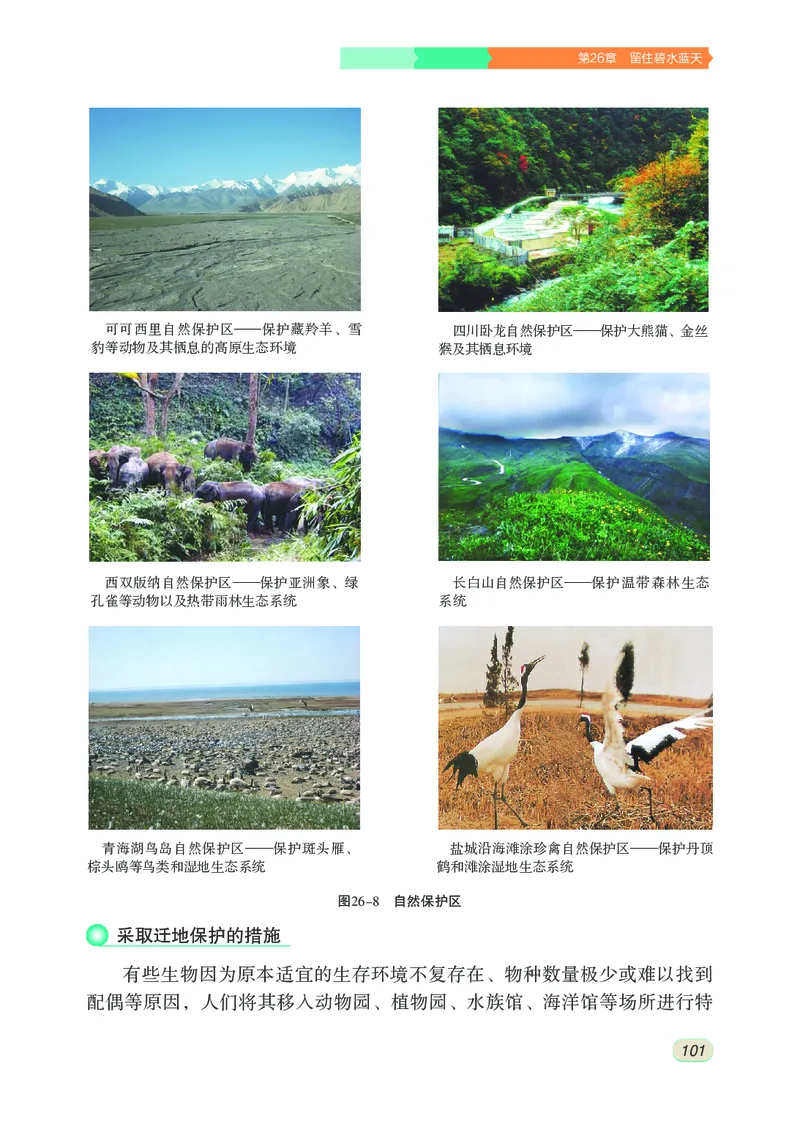 苏科版8年级生物下册高清教材_4-教培资料-26年最新资料-同步更新_初中高中教资_03科三专项（进去保存报考的学科即可）_02科三专项（笔记真题思维导图教学设计版本二）