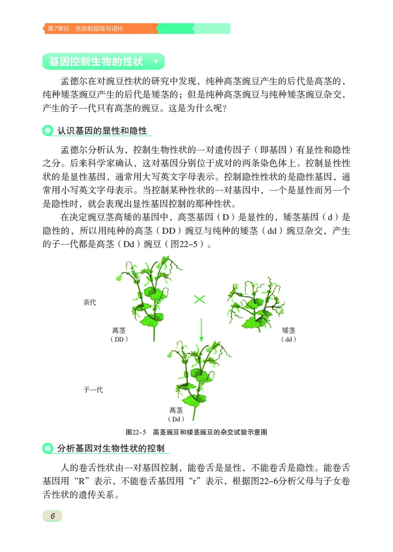 苏科版8年级生物下册高清教材_4-教培资料-26年最新资料-同步更新_初中高中教资_03科三专项（进去保存报考的学科即可）_02科三专项（笔记真题思维导图教学设计版本二）