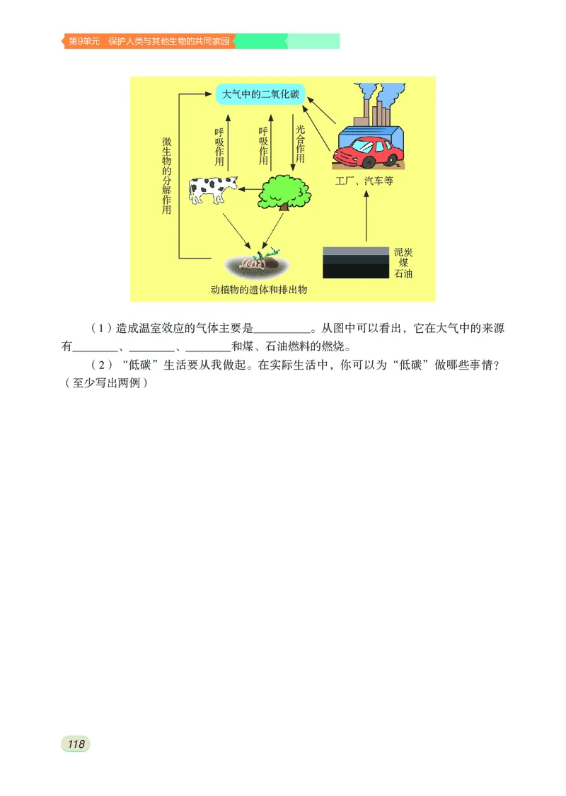苏科版8年级生物下册高清教材_4-教培资料-26年最新资料-同步更新_初中高中教资_03科三专项（进去保存报考的学科即可）_02科三专项（笔记真题思维导图教学设计版本二）