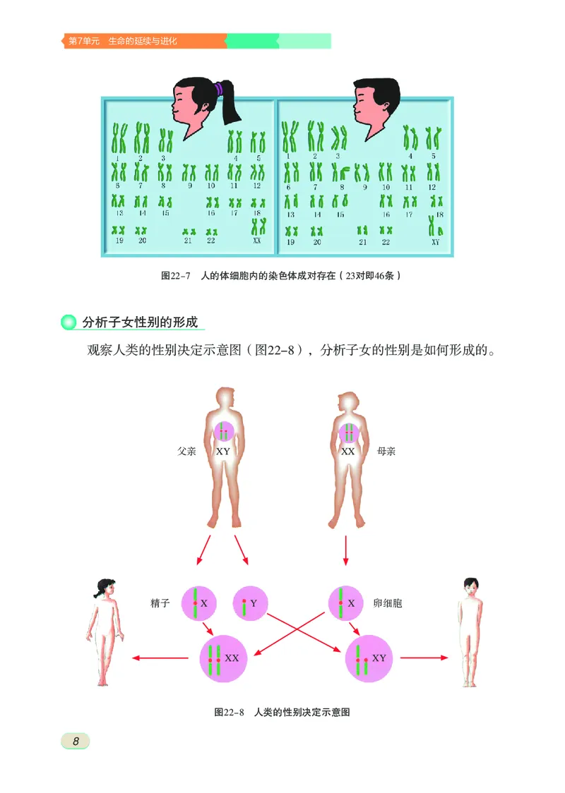 苏科版8年级生物下册高清教材_4-教培资料-26年最新资料-同步更新_初中高中教资_03科三专项（进去保存报考的学科即可）_02科三专项（笔记真题思维导图教学设计版本二）